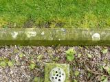 image of grave number 240874